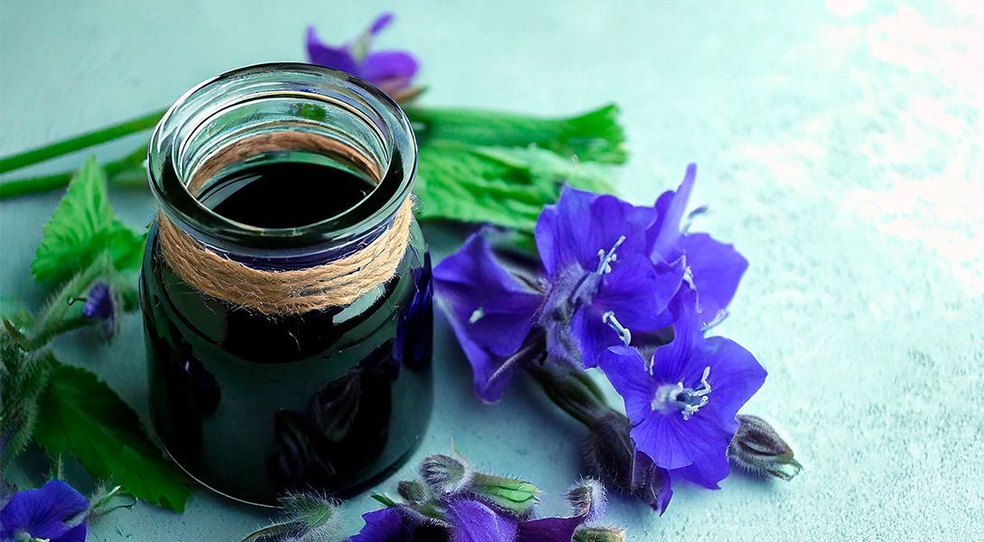 Beneficios y Usos del Aceite de Borraja