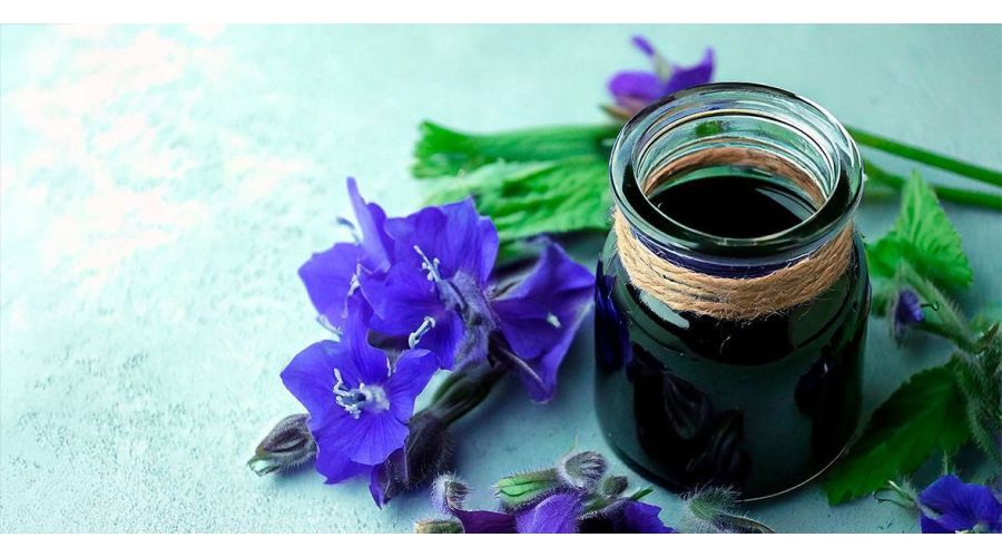 Aceite de Borraja