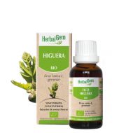 Pranarom Higuera Bio 15ml Herbalgem
