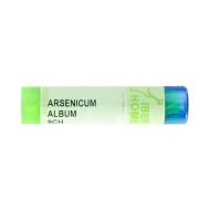 Arsenicum Album 9 CH Glóbulos 4g Iberhome