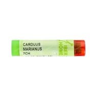 Carduus Marianus 7 CH Glóbulos 4g Iberhome