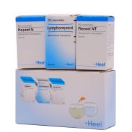 Heel Kit Detox Terapia Detoxificante Compridos Homeopáticos