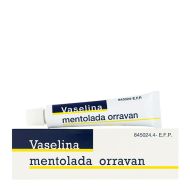 Vaselina Mentolada Orravan 20 mg/g Pomada 13 g