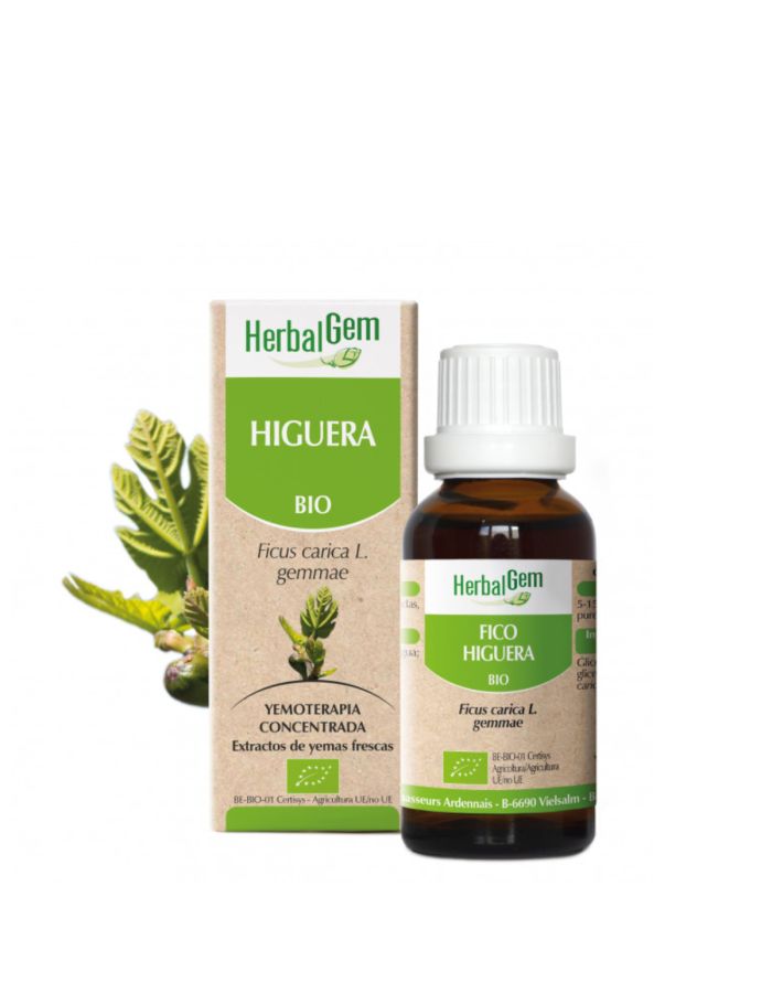 Pranarom Higuera Bio 15ml Herbalgem