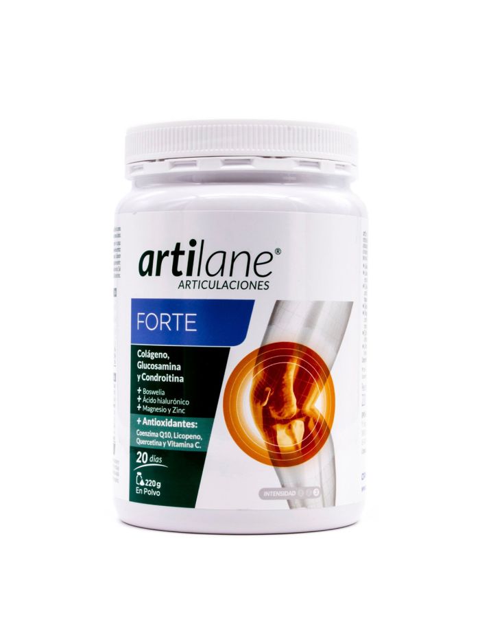ARTILane Forte Polvo 220g-1