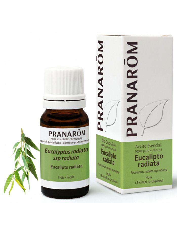 Pranarom Aceite Esencial Eucalipto Radiata 10ml