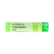 Hydrastis Canadensis 5 CH Glóbulos 4g Iberhome