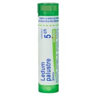 Ledum Palustre 5 CH Glóbulos 4g Boiron