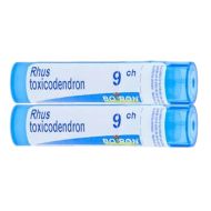 Rhus Toxicodendrum 9 CH Glóbulos DT 4g x 2 Boiron 