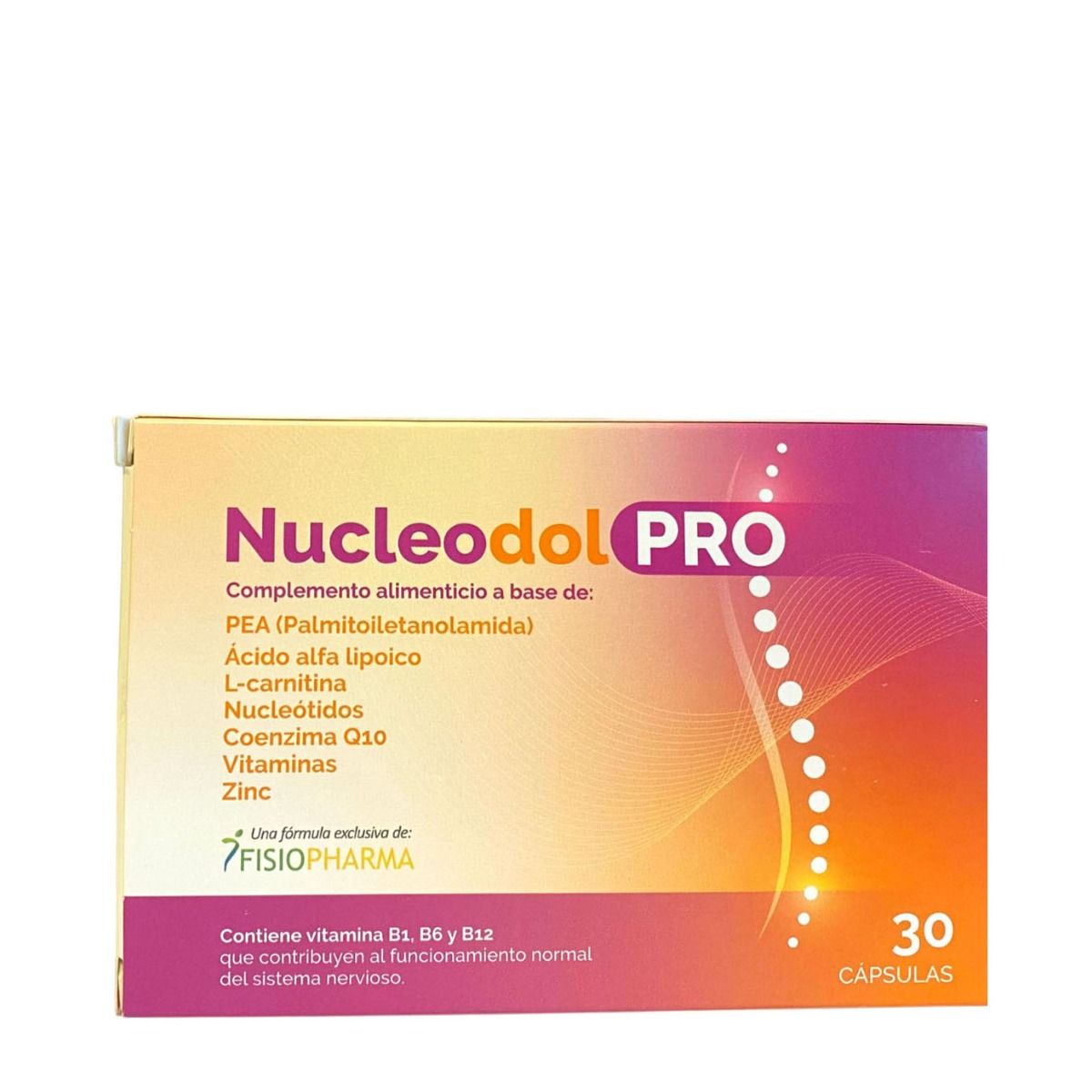 l arginine l citrulline l carnitine L-Carnitina: para qué sirve, cómo tomarla y efectos secundarios main image 1