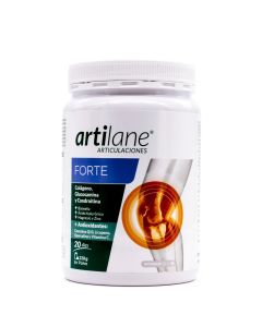 ARTILane Forte Polvo 220g-1