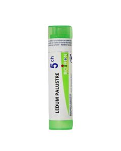 Ledum Palustre 5 CH Glóbulos 4g Boiron