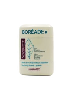 Boreade R Stick Reparador 9,2g