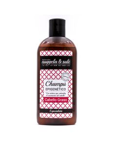 Nuggela & Sule Champú Epigenético Cabello Graso 250ml