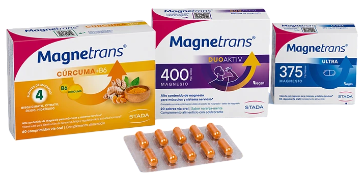 Magnetrans_bodegon_2